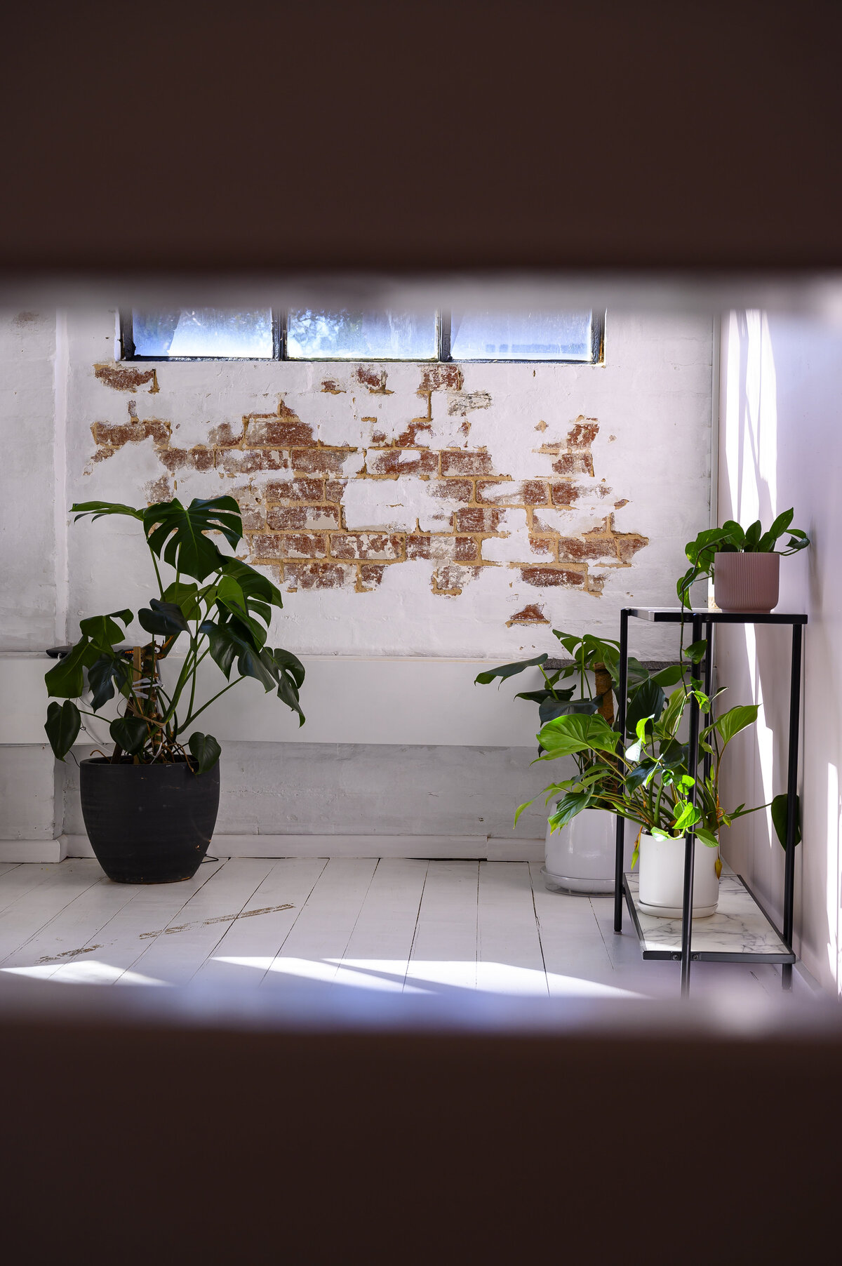 Interior of Lottie Brows Salon