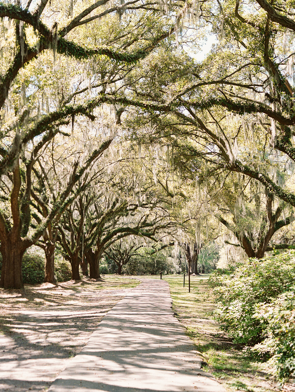 Mel+Jess_Wedding_FoxtailCo-132