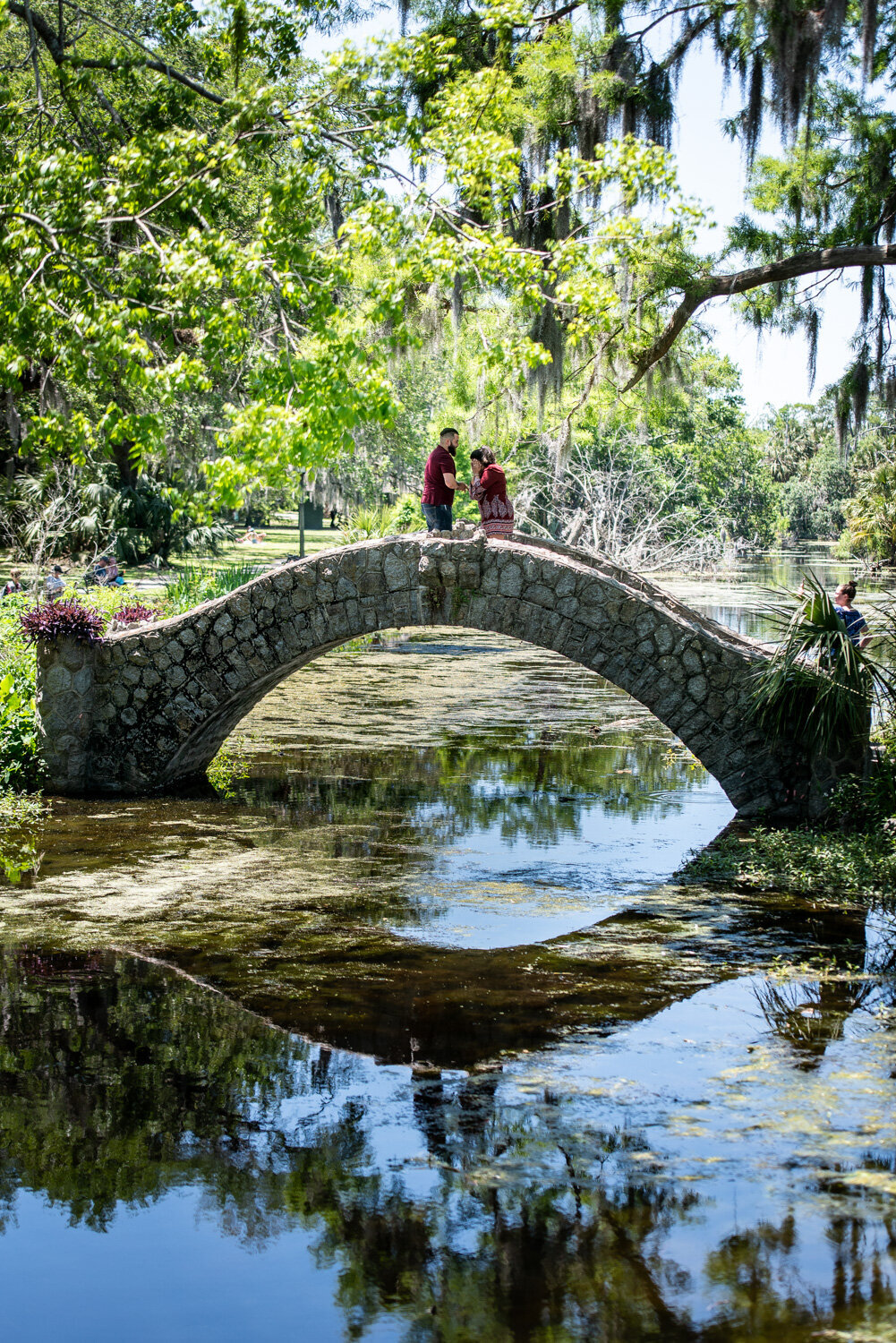 Marriage Proposal on Langles Bridge in City Park