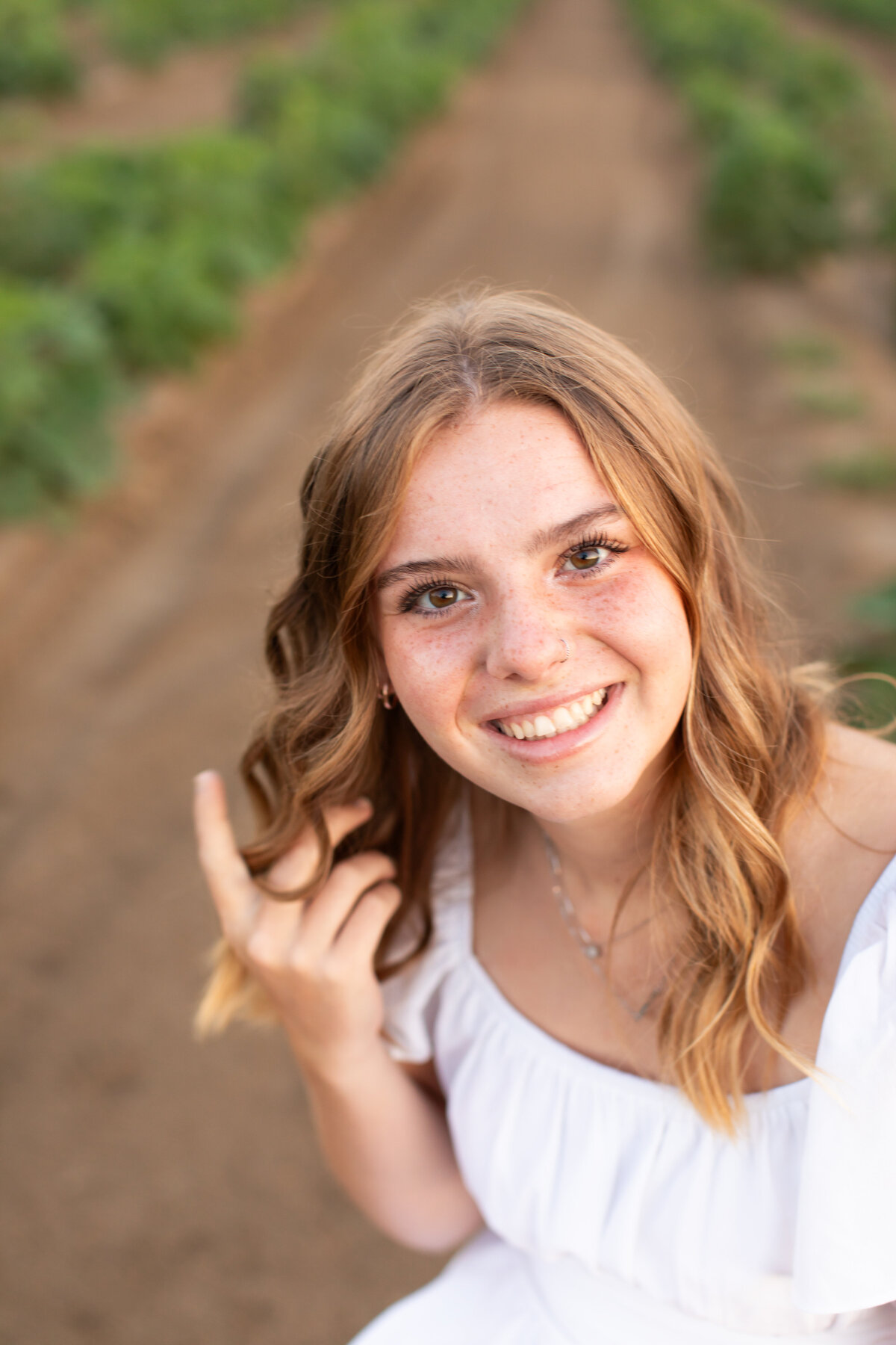 Addison sunflower shoot _0002