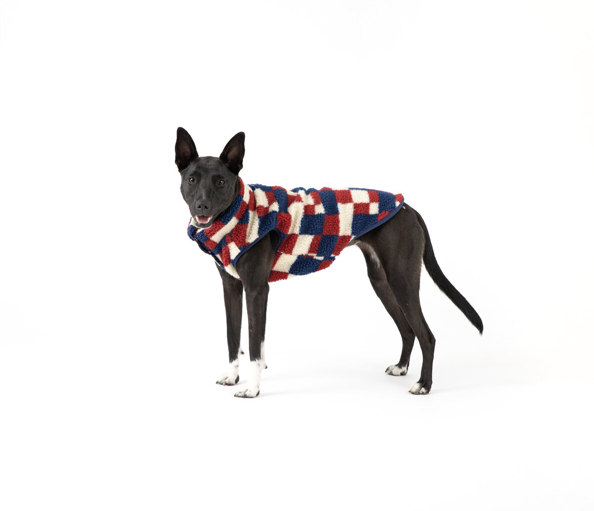 pet products