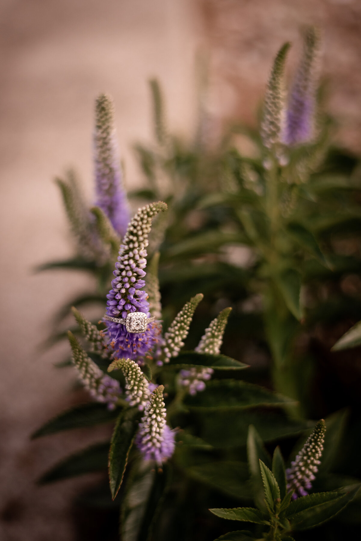 wedding engagement ring detail photography