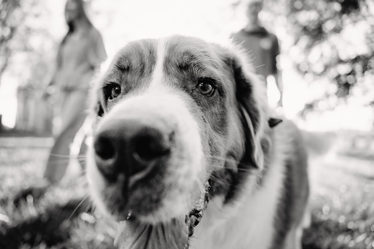 NicoleS_Fall2025_038