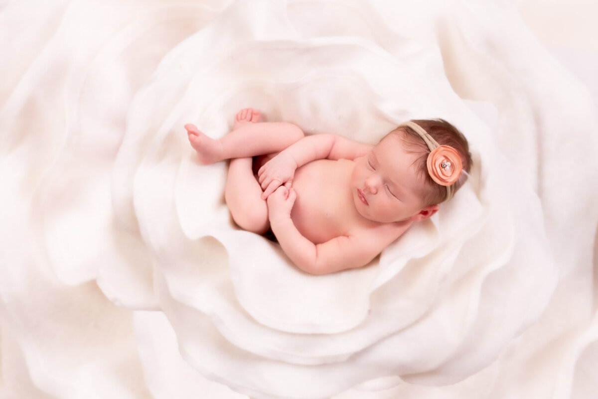 Newborn lying on a soft white bed surrounded by delicate white petals, captured in Overland Park, Kansas. A minimalist and elegant option for families seeking timeless newborn photography.