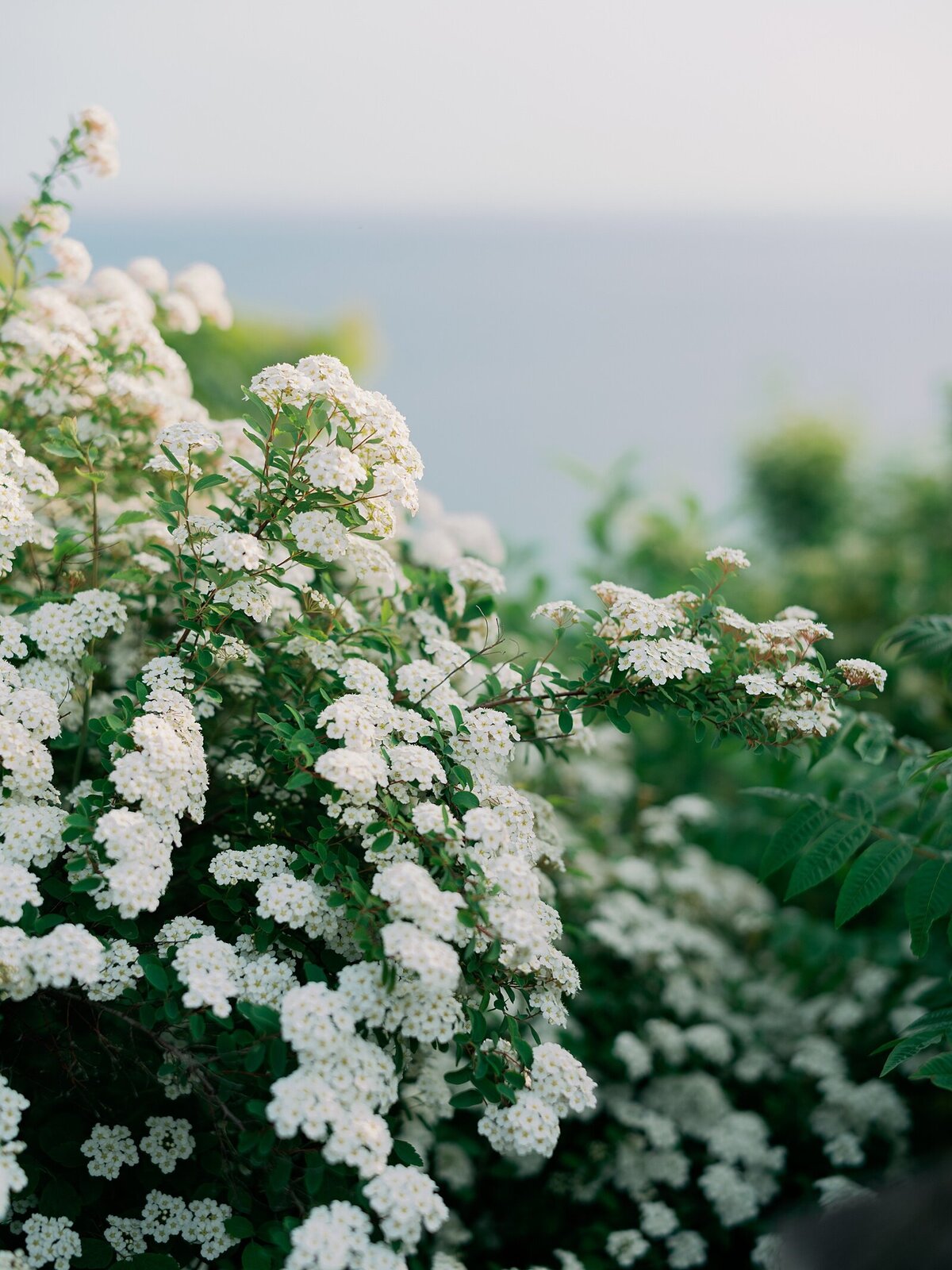 Grand-Hotel-Wedding-Mackinac-Island_1449