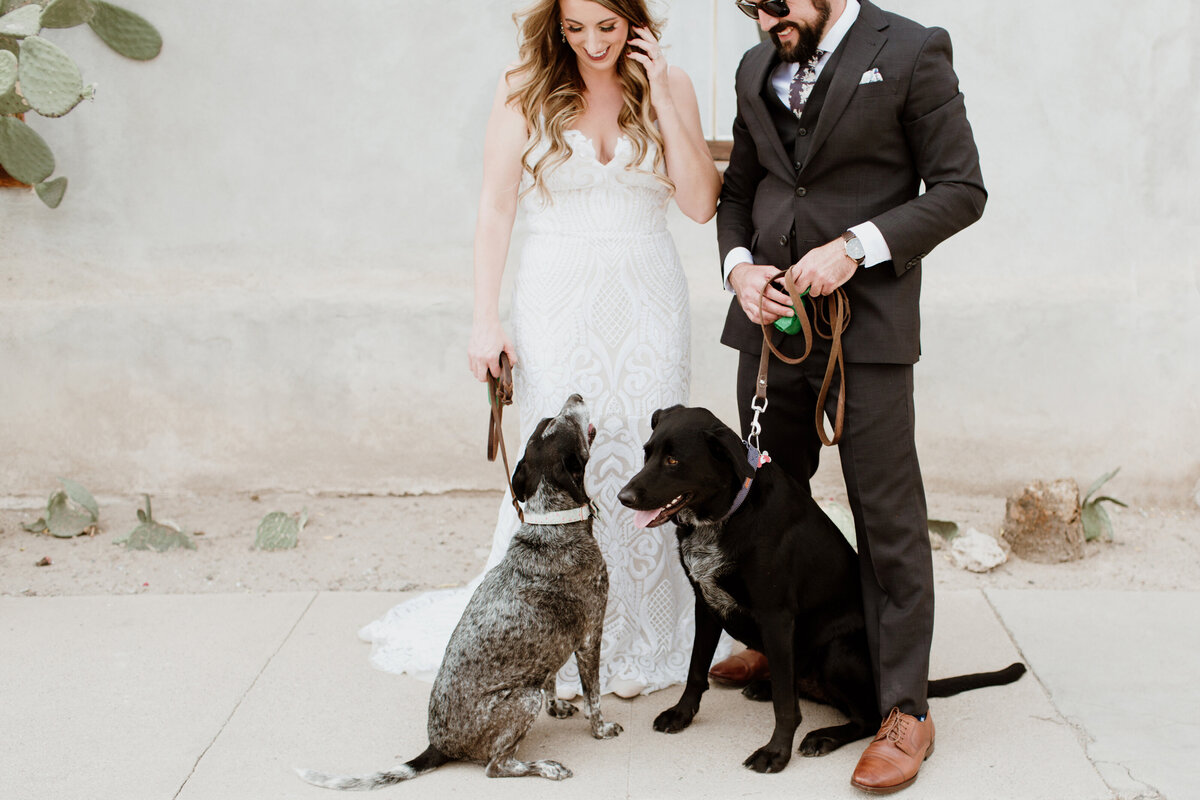 Bride and groom with their dogs captured by Fort Worth wedding photographer, Megan Christine Studio