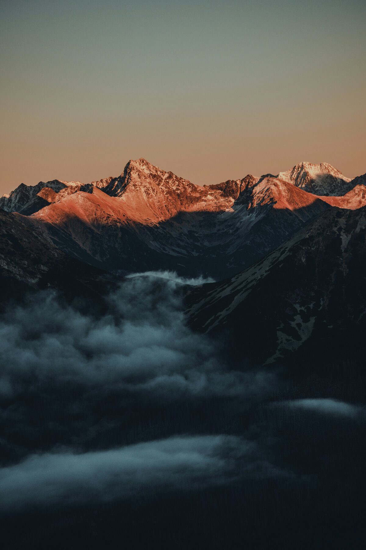martin-marek-p8aRDKaePC4-unsplash (1)