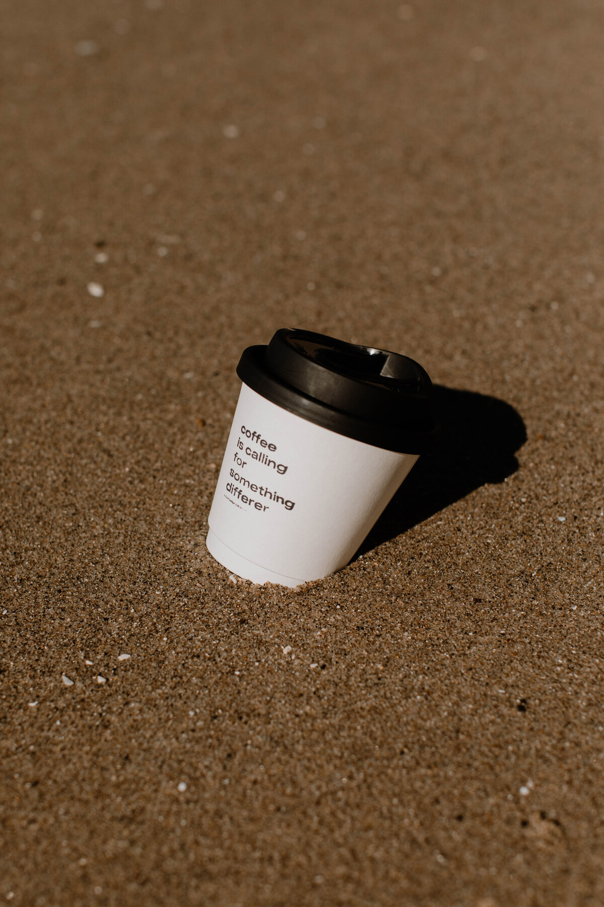 THL_Considered_Sneaks-5