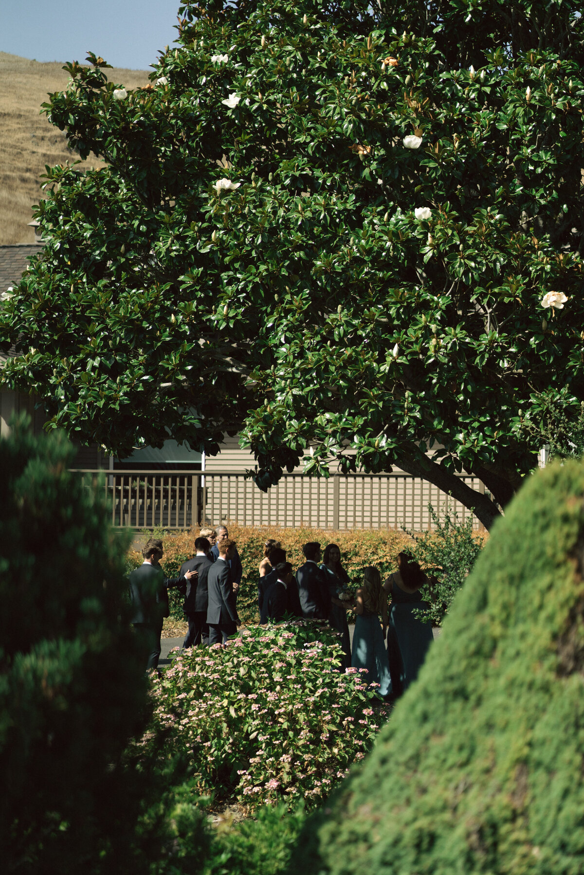 Intimate Wine Country Wedding in Sonoma, California