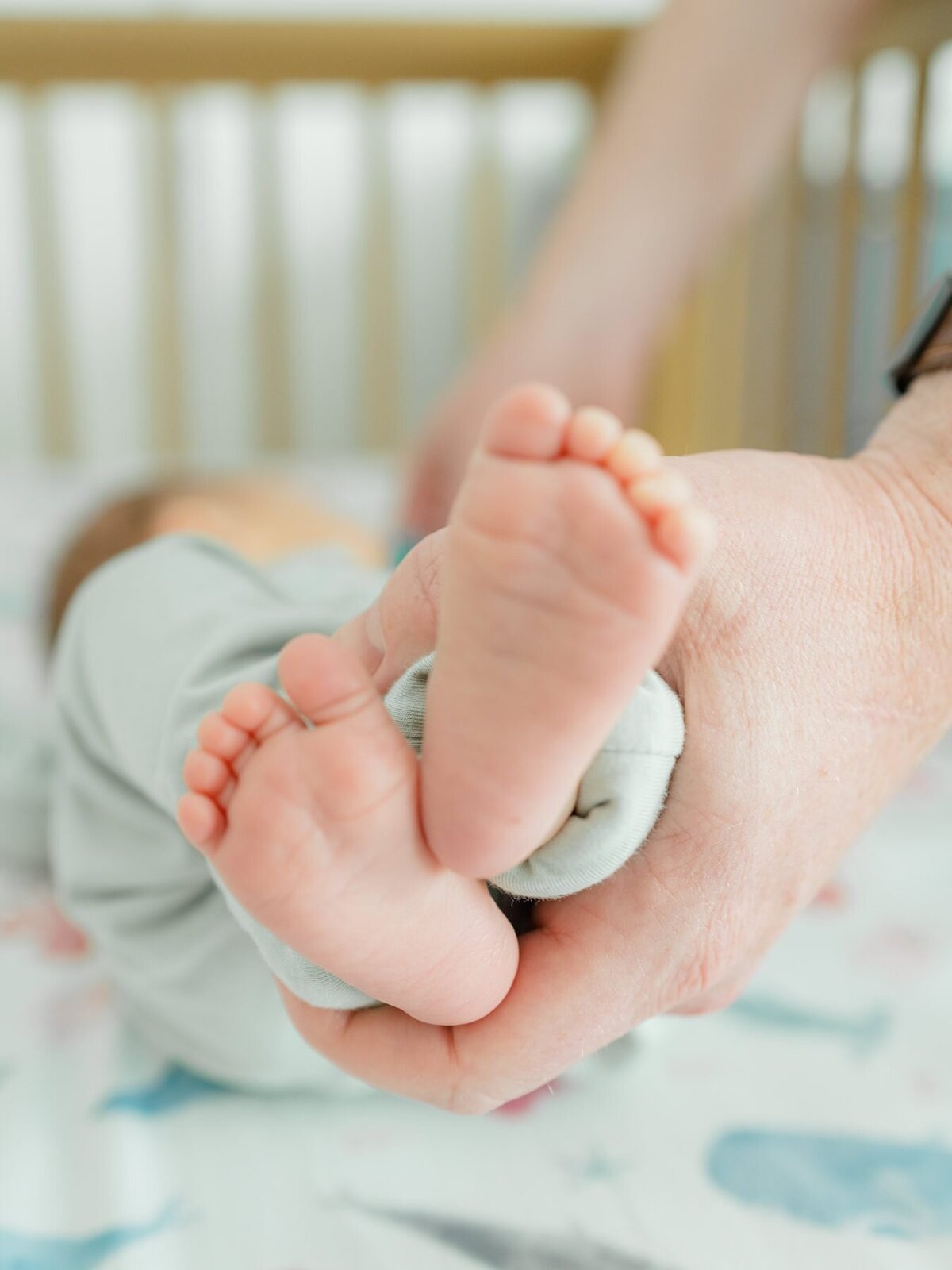 carlsbad newborn photogarpher