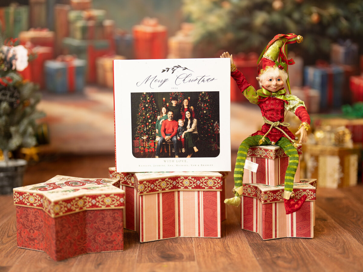 SteinArtStudio 2024-09-11 Christmas products-8