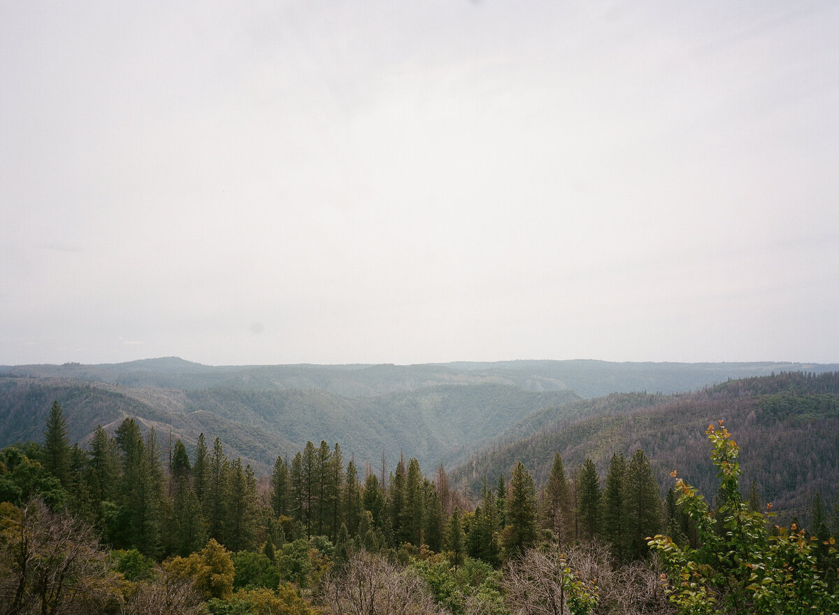 CAITLIN+CALVIN-LI-23