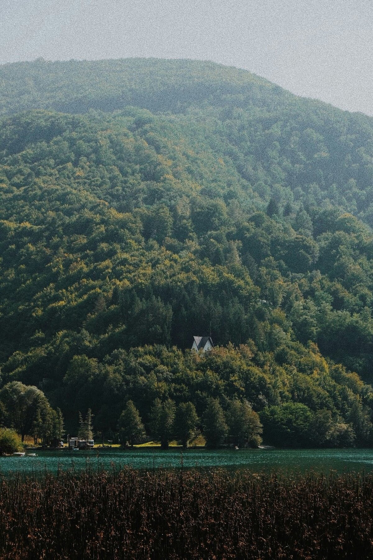 damien-dan-AhdtCpgjFZ4-unsplash