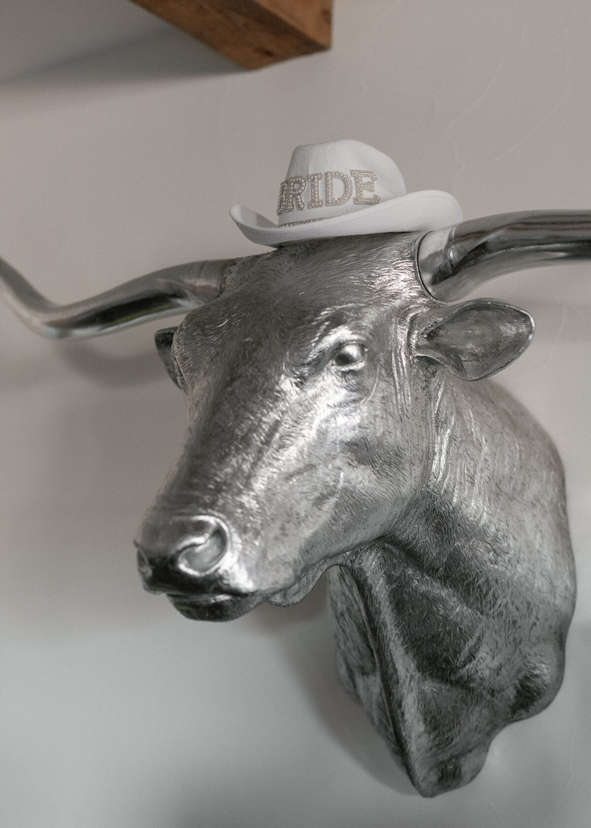 autumn-spencer-drover-wedding-jeff-brummett-photography-0036