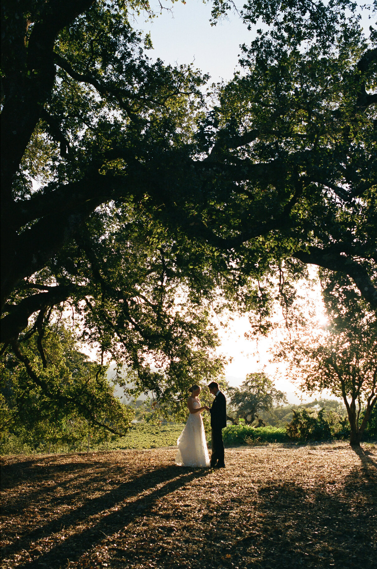 DT-2025-Celine & Gabe Highlights-59