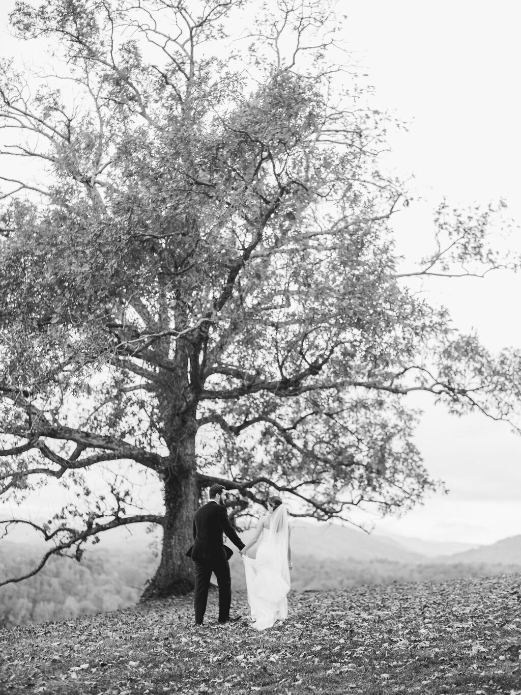 Biltmore Estate NC Fall Wedding_Asheville Event Co_4