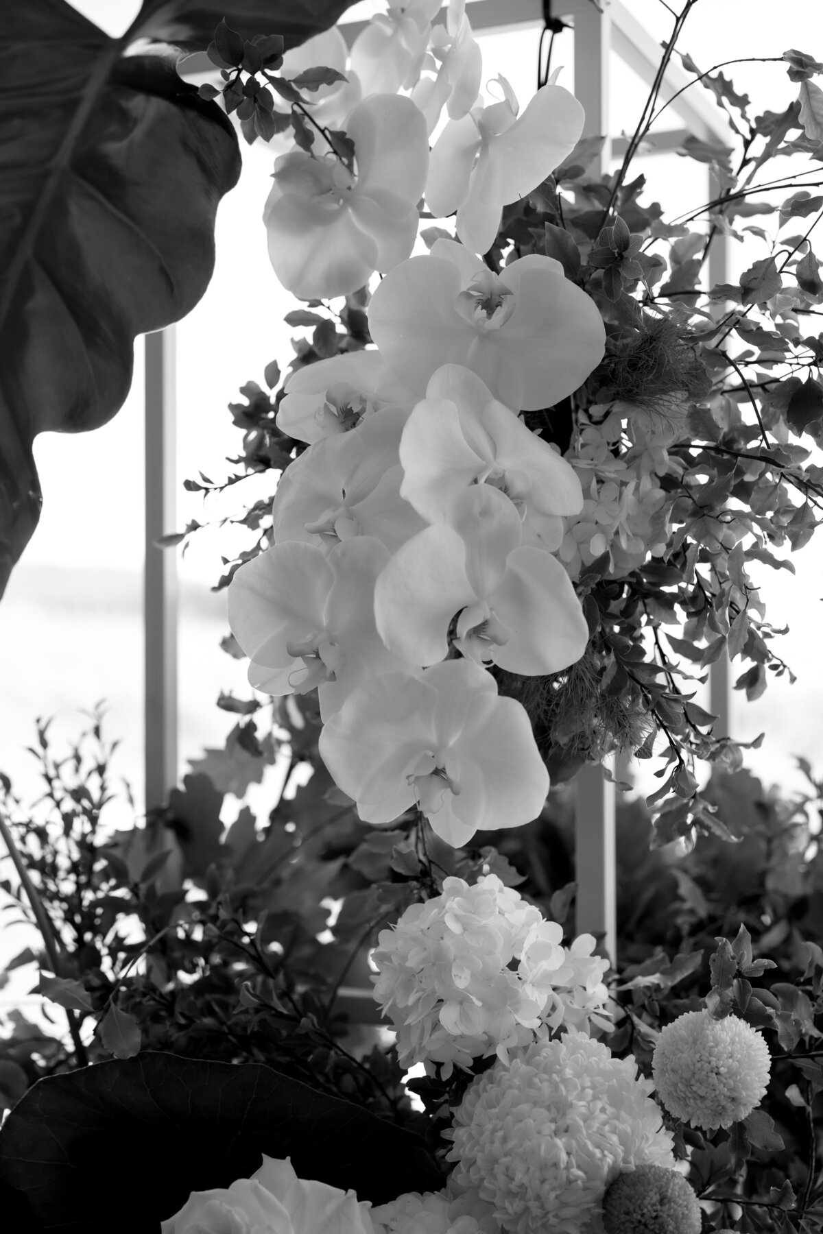 Georgia and Aiden-24