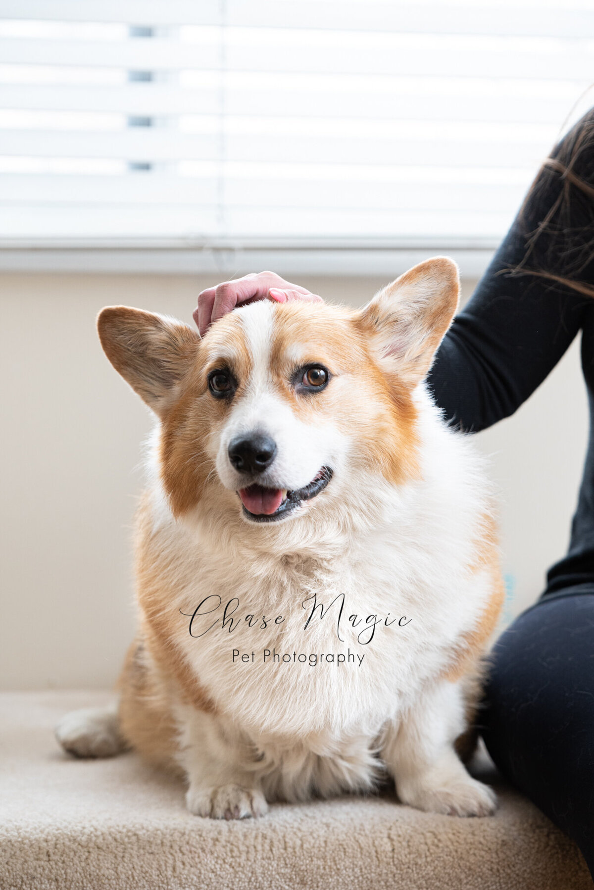 CMP_0584_SM