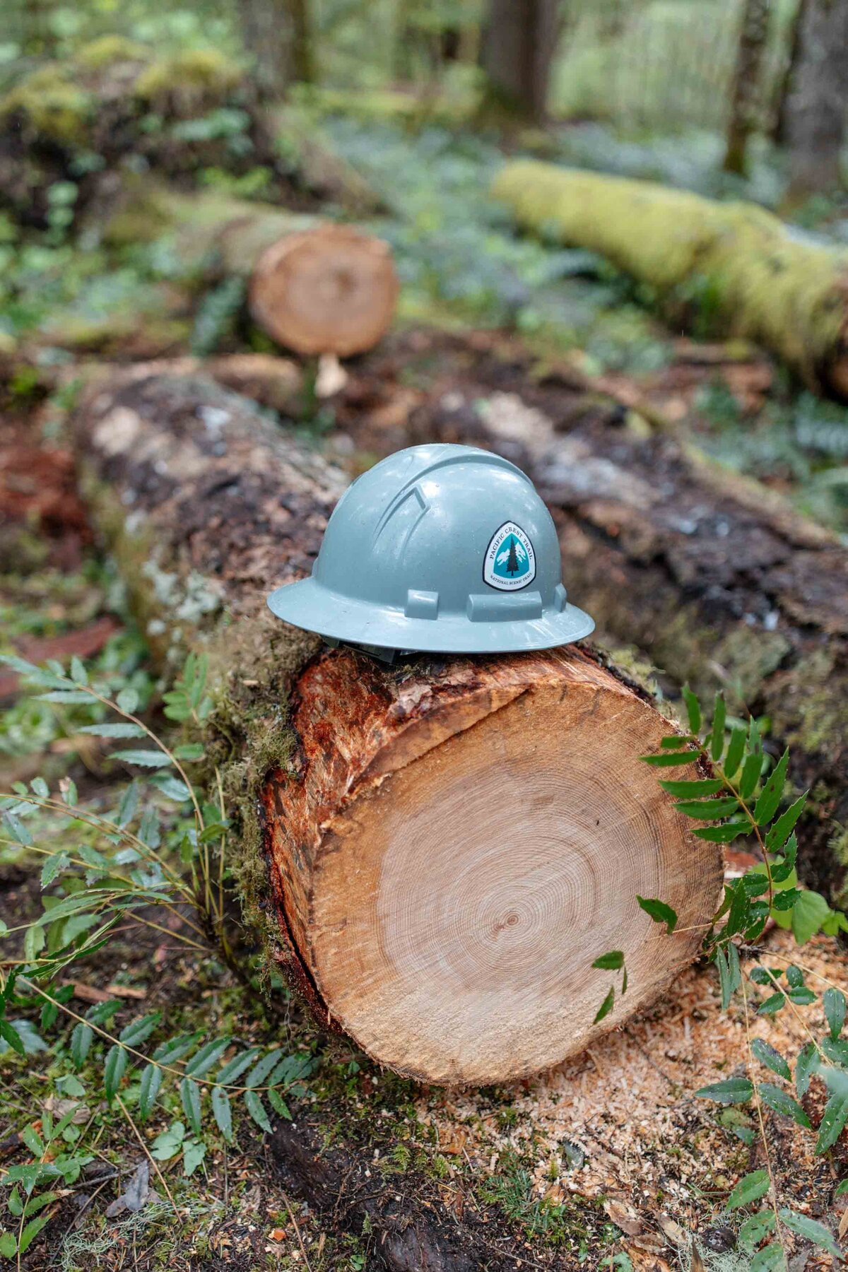 pacific-crest-trail-association-work-crews-hike-25