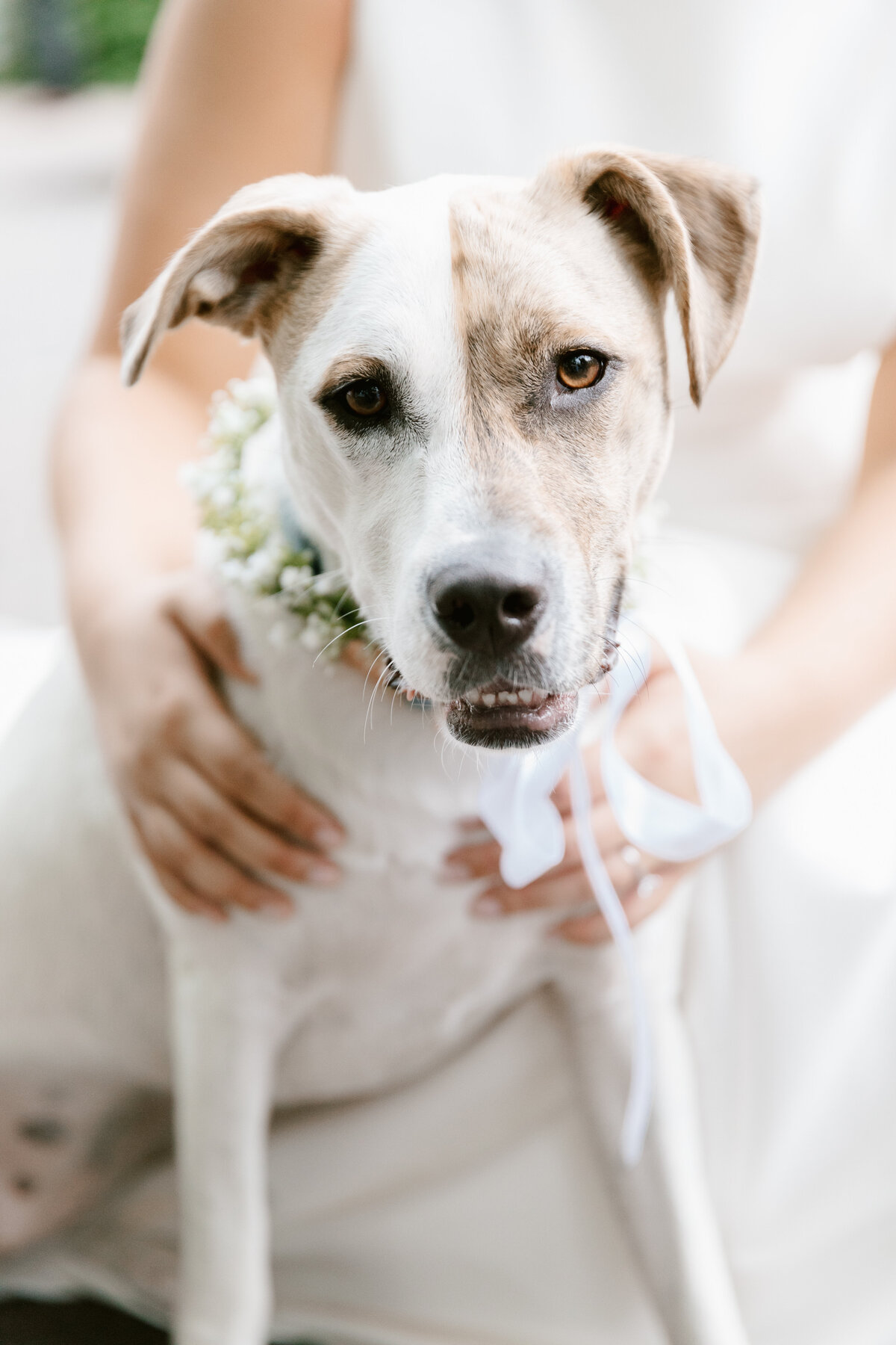 EmilyWrenPhotography-Associate-Gabby-026