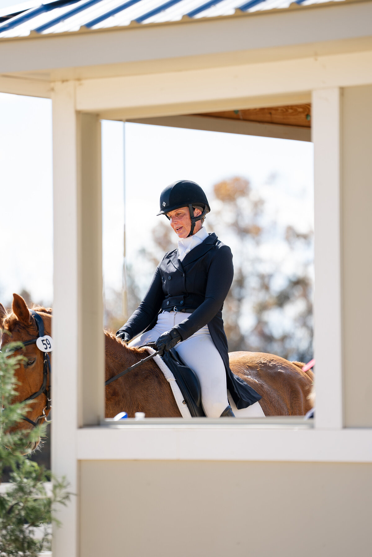 VHCDressage-21