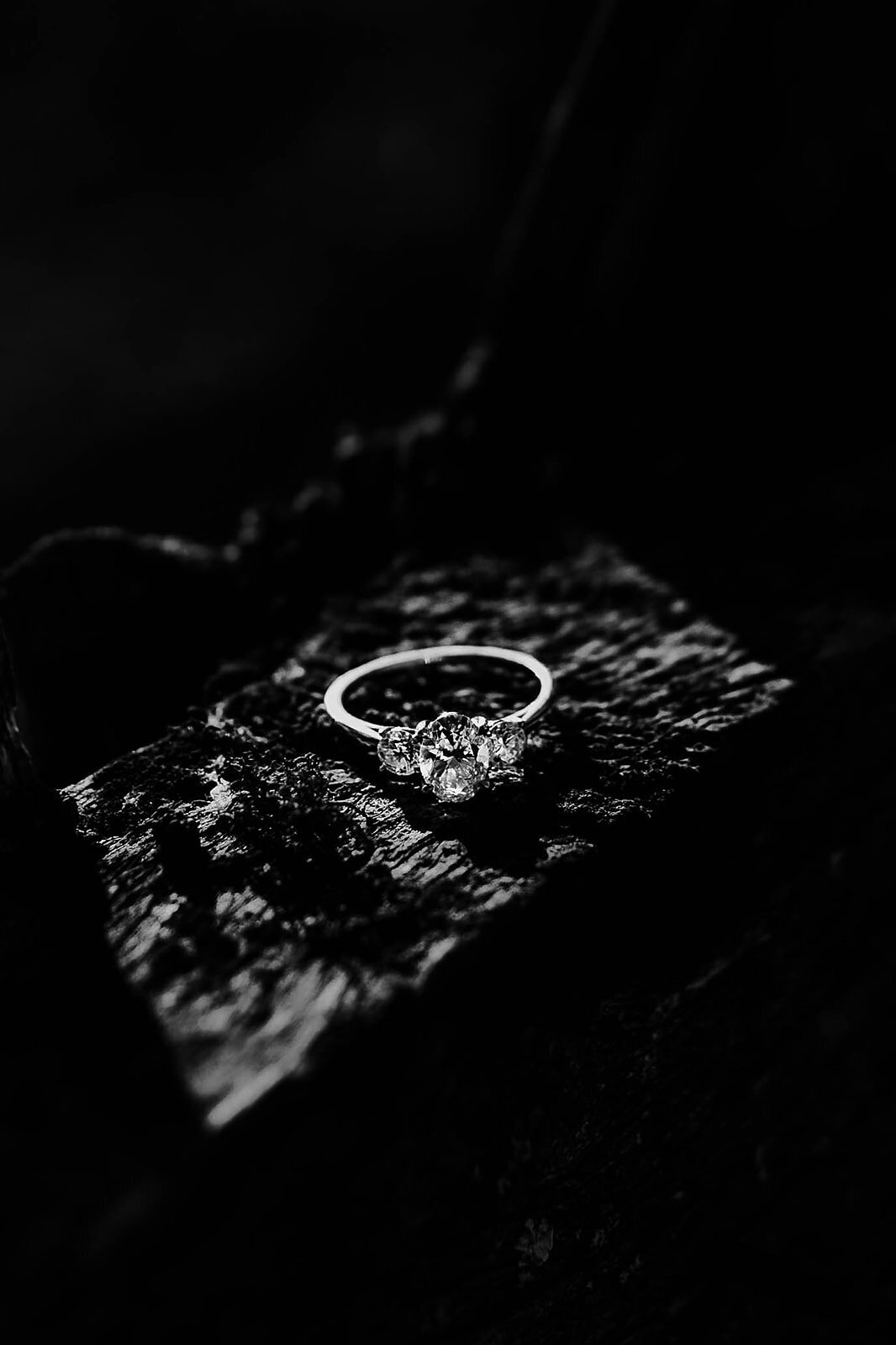 BWSept2022-ChevyEngagement-MommaPenguinPhotography-22