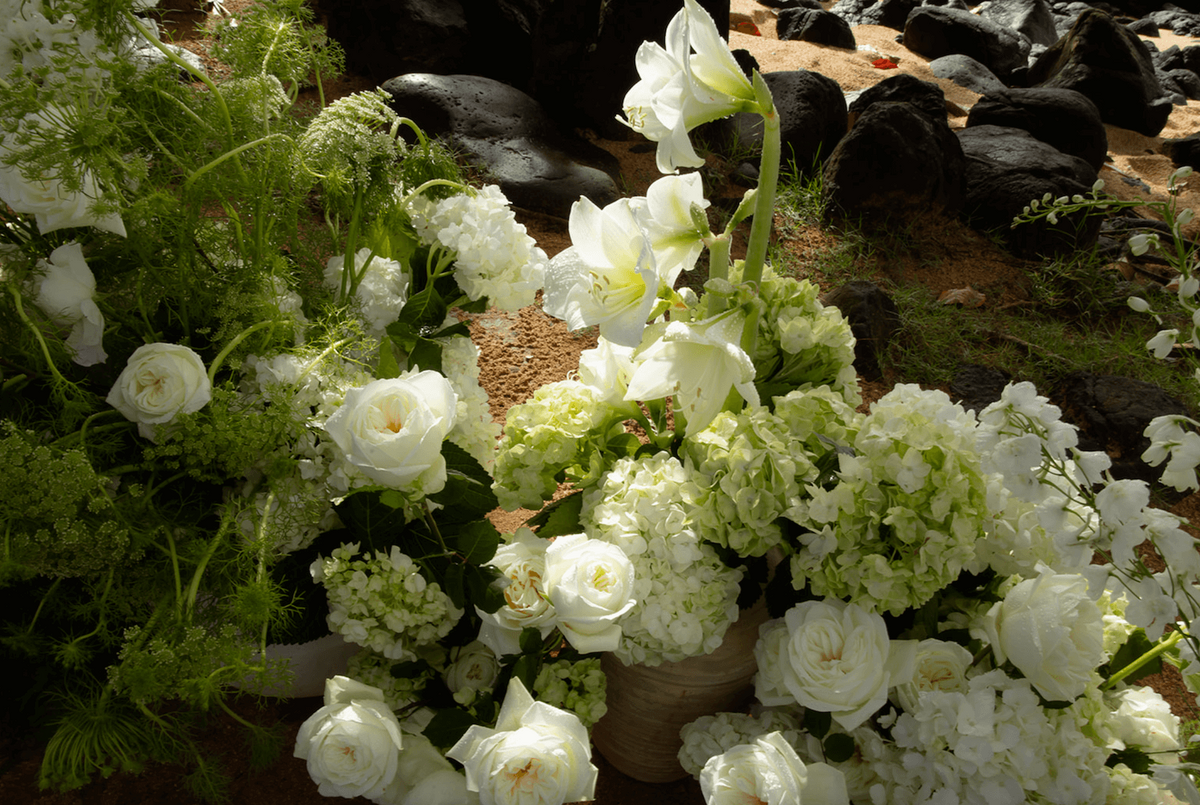 Screenshot 2025-11-25 at 12.17.40 PM