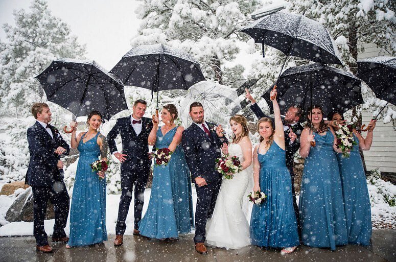 A bride and groom stand in a line with their wedding party facing the camera and the wedding party holds black umbrellas as it snows.