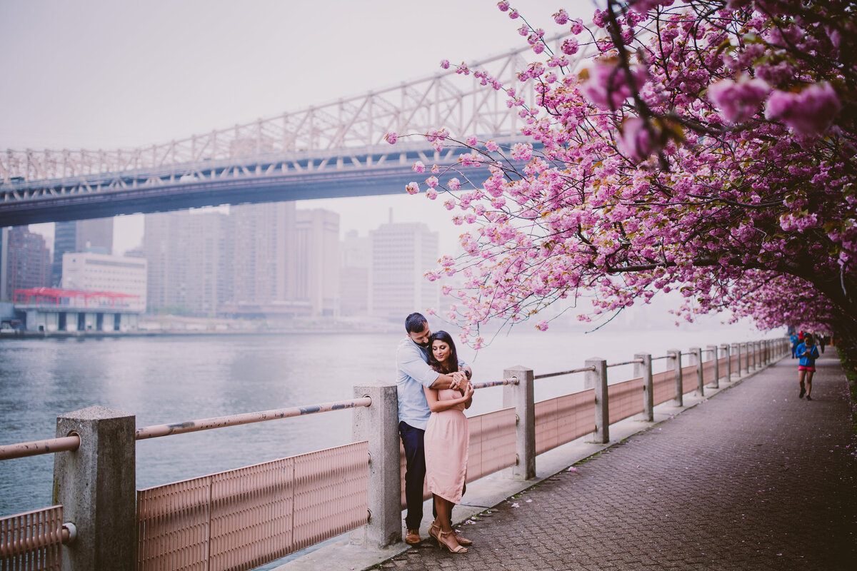 An engaged couple sharing a moment by the cherry blossom trees at roosevelt island in nyc