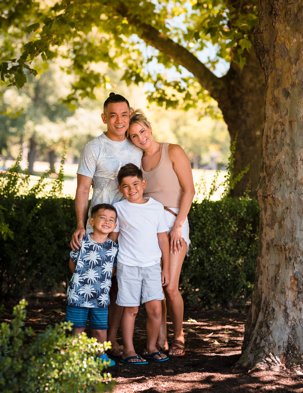 Summertime family portrait in Downtown Bellevue Park of parents and children cuddled under a shaded tree on a hot sunny Bellevue day.