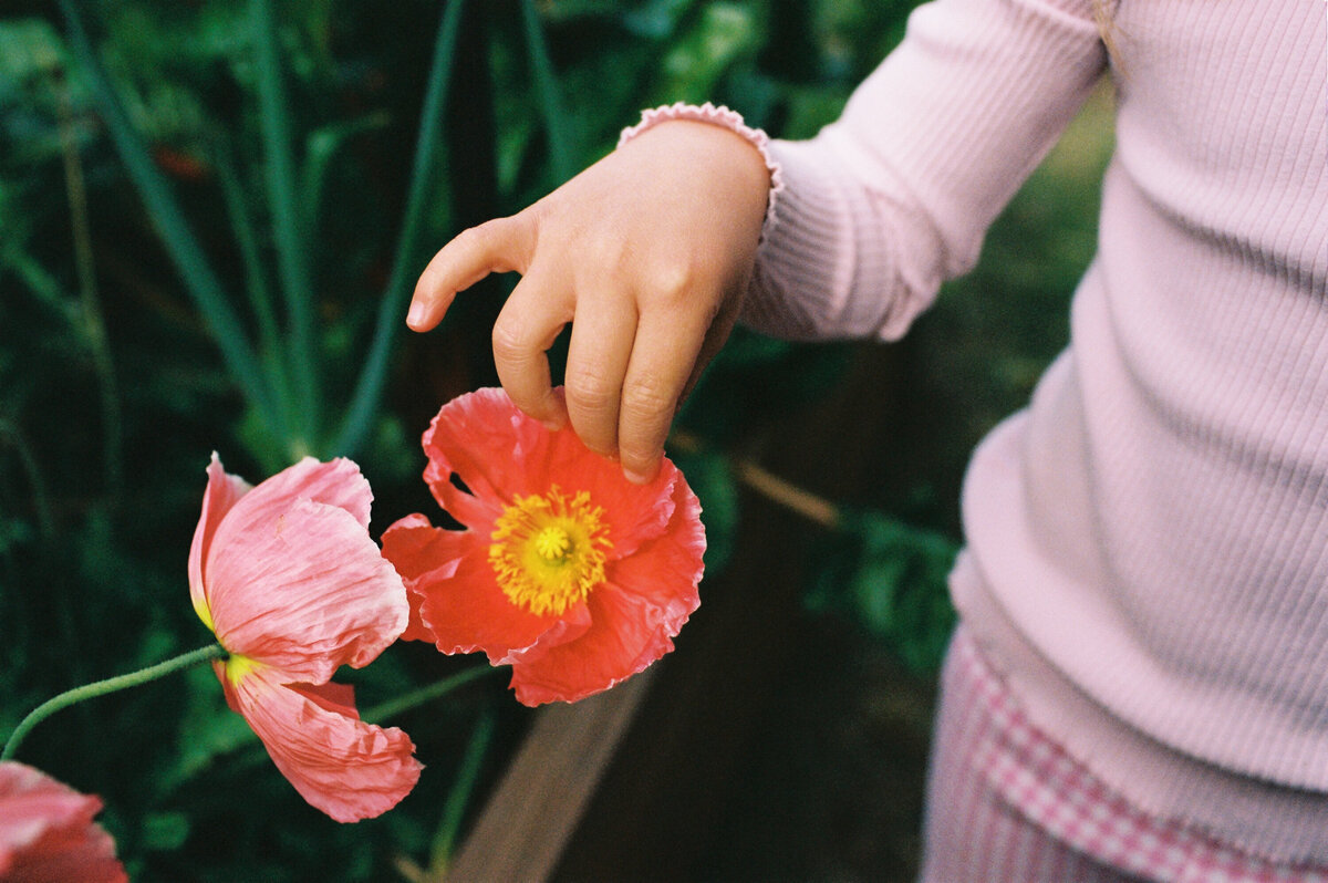 portra-400-torquay-family-session | Bobby Dazzler Photography