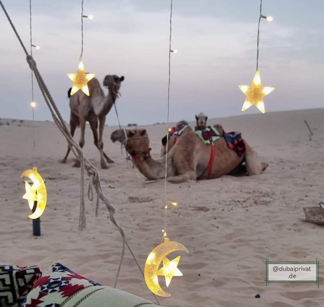 Event_at_Camel_Uschi_farm_desert_Dubai7