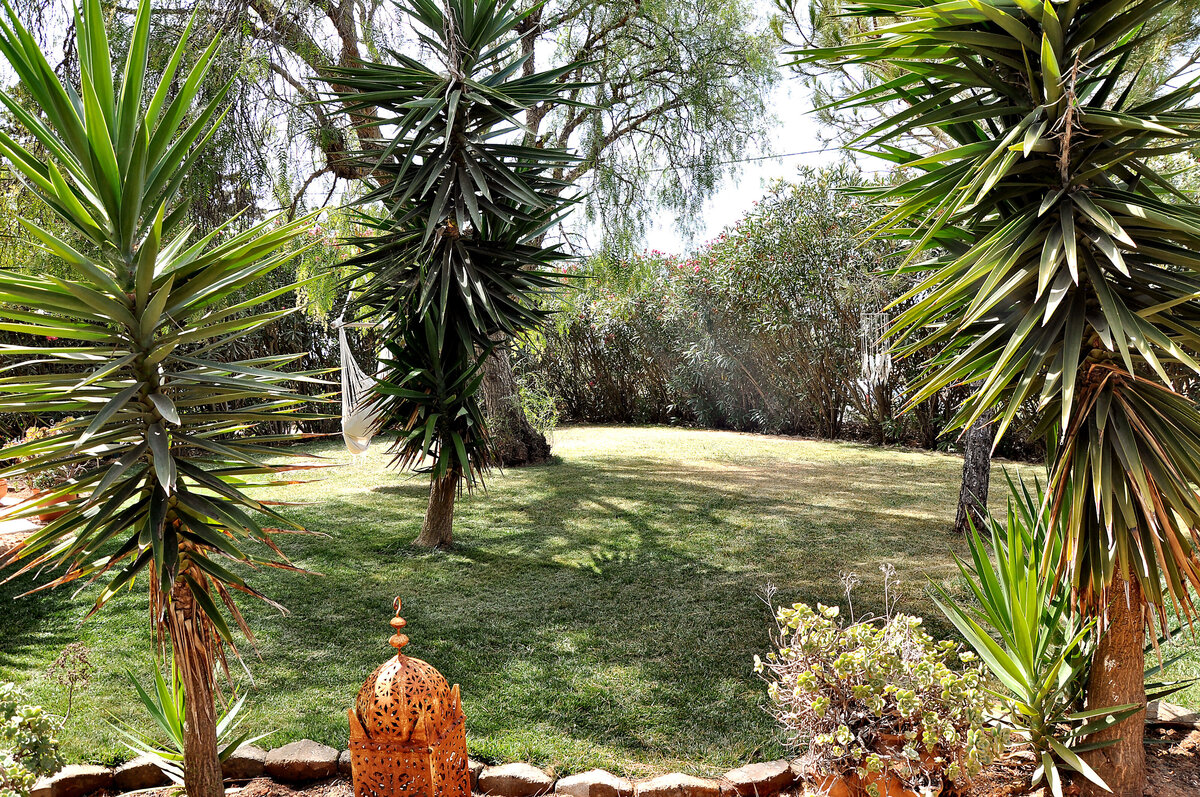 Yoga Garden E0251