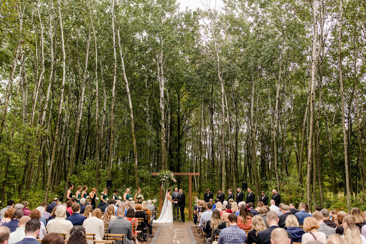 Wedding Previews-42
