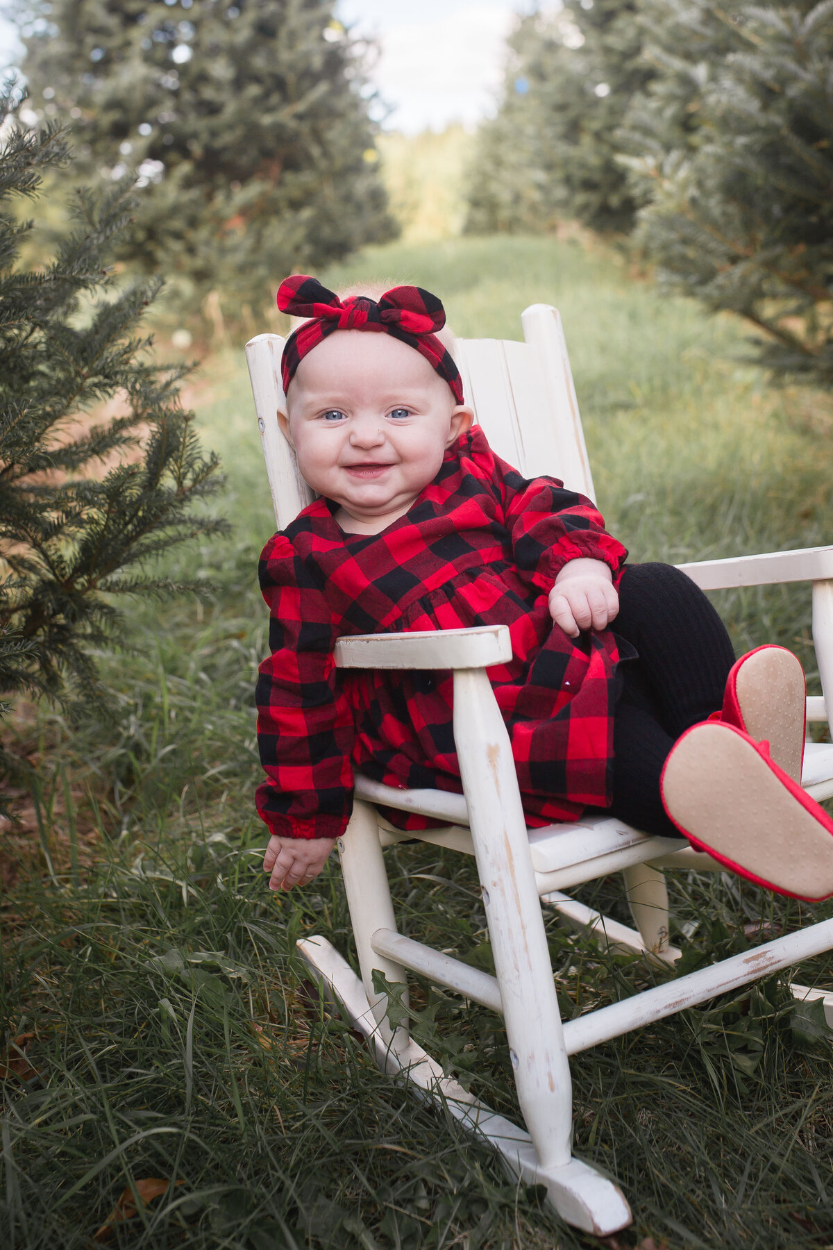 Christmas Minis 2021-25