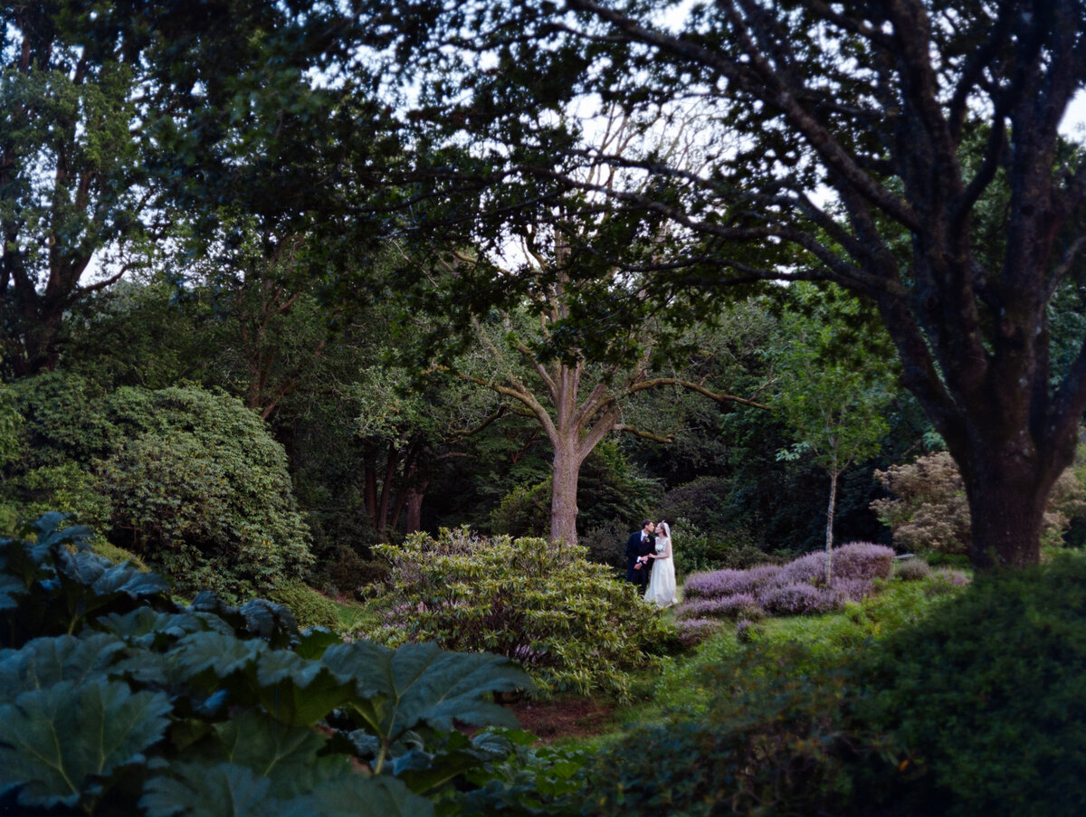 analogue-wedding-photography-52