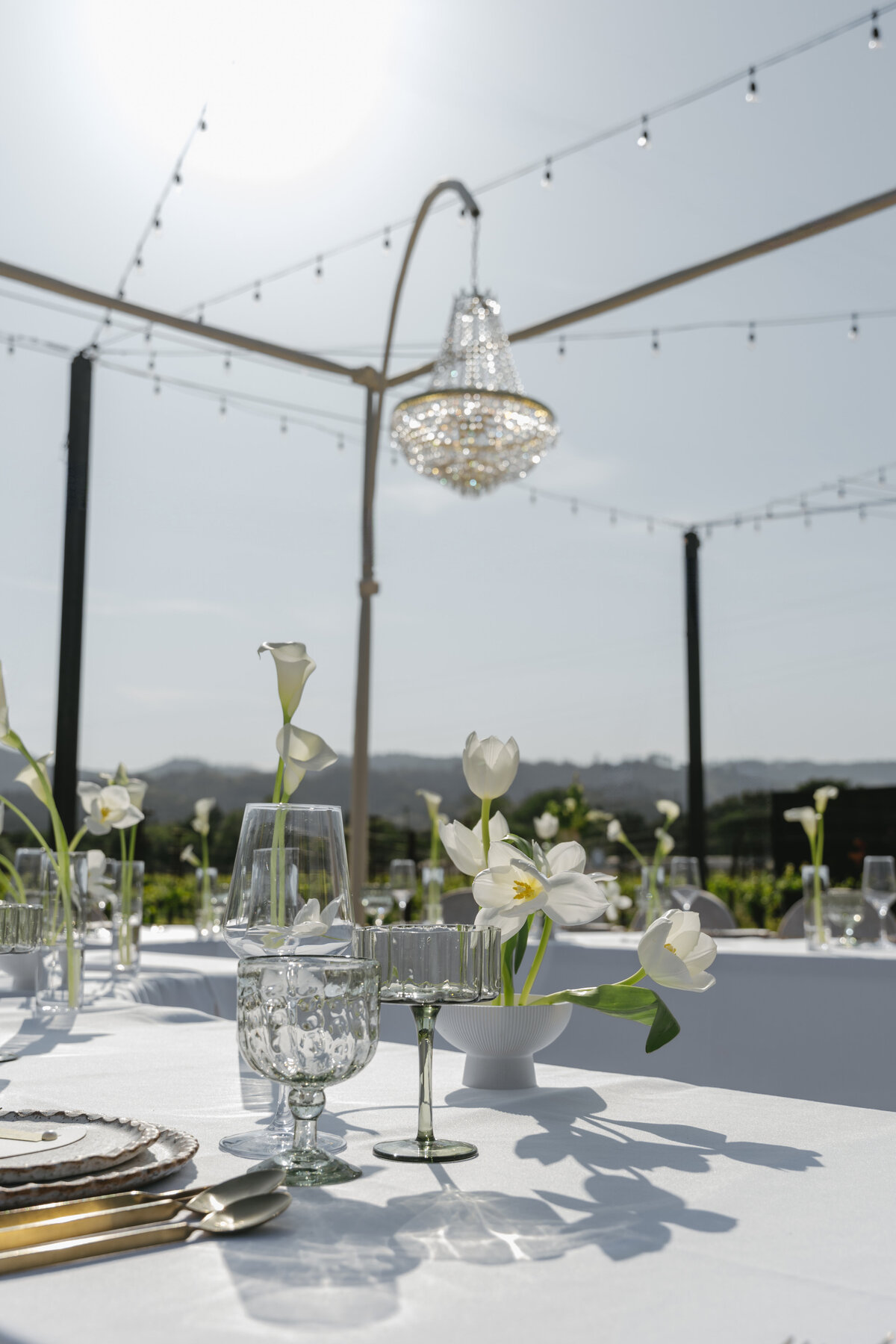 Brindare Napa Weddings