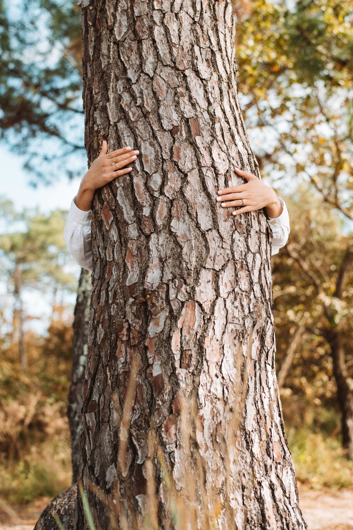 storytelling-branding-holistique-4