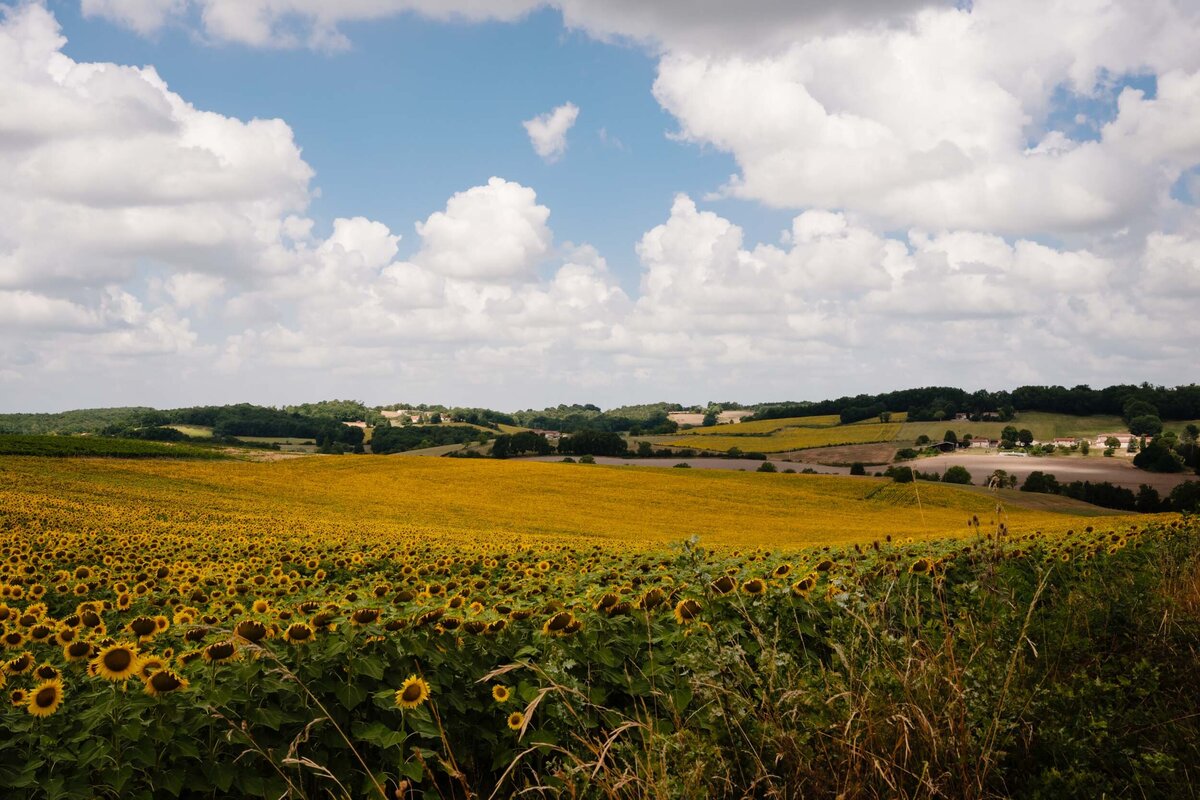 Emma and Josh's Chateau de Lerse Wedding-5