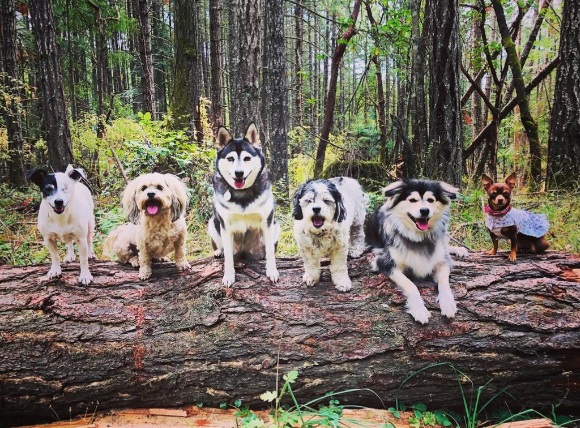 Screenshot 2025-09-13 125617