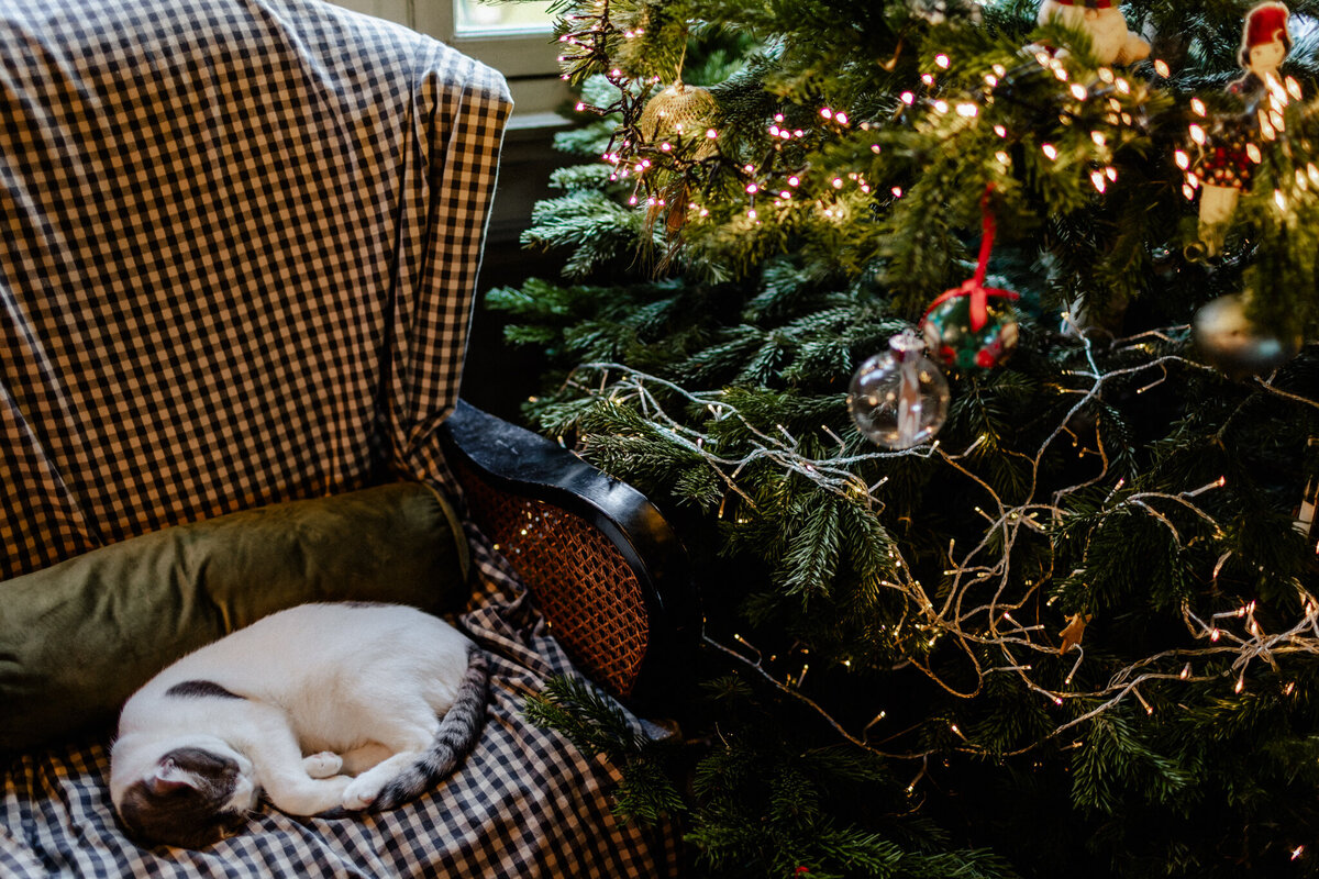 houston-Christmas-mini-sessions-2024-54