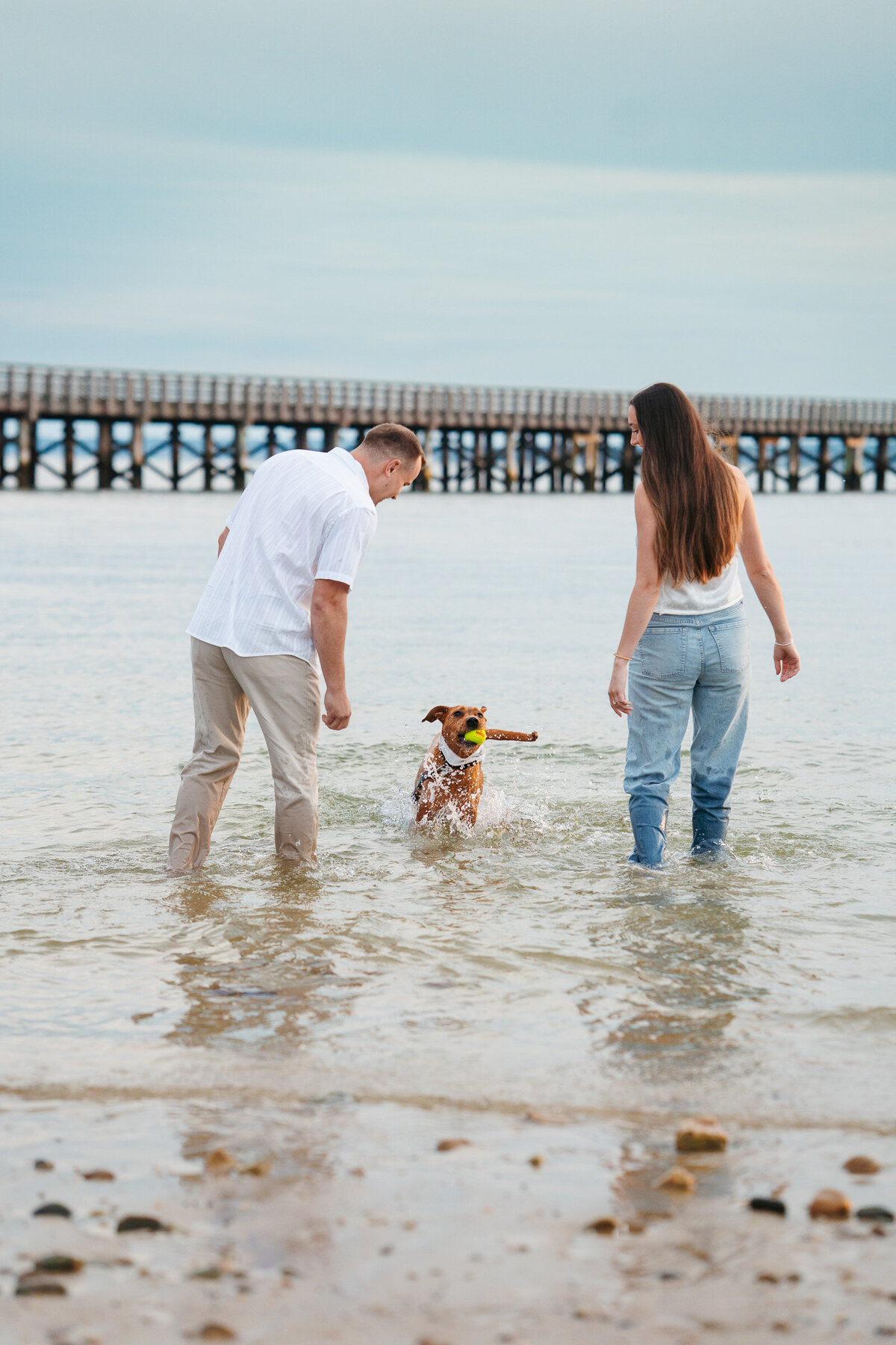 Duxbury MA engagement session featuring natural beach portraits and moments with the couple’s pup.