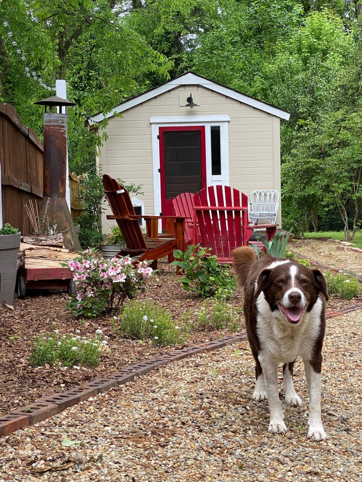 my-1914-bungalow-historic-renovation-heather-homes69