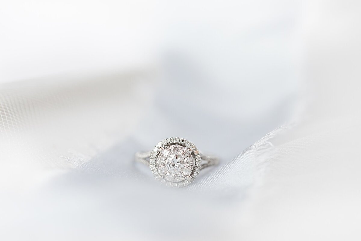 Oglebay-Wheeling-WV-Wedding (4)