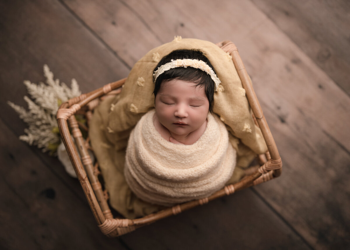 Aerial image of Riverside, CA newborn photoshoot. Baby girl wrapped in muted yellow and sleeping in a prop basket. Captured by Best Riverside, CA newborn photographer Bonny Lynn Photography.