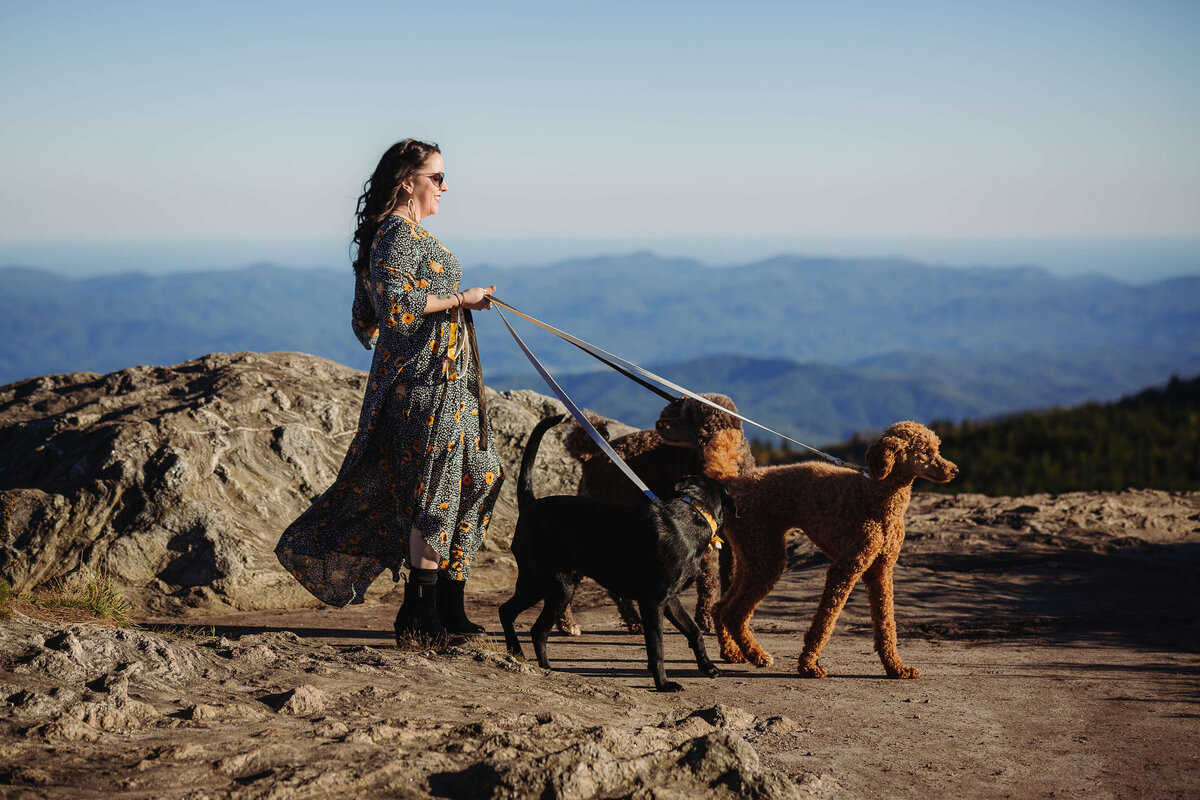 Black-Balsam-NC-Sunset-Elopement-5