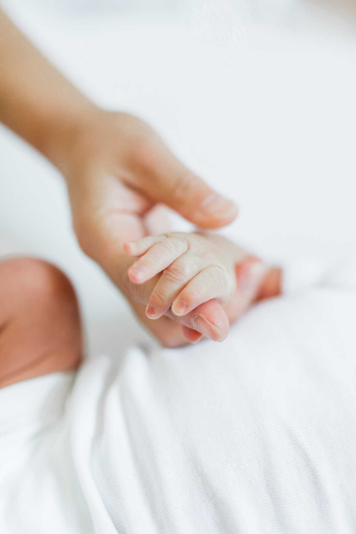 Close-up of a newborn's hand holding an adult's finger