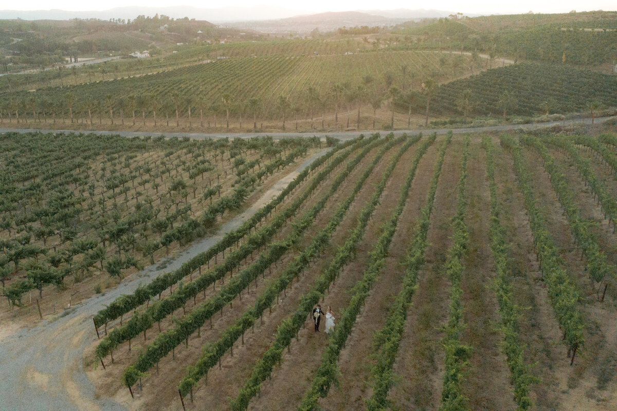 Bairly Media Falkner Winery-155