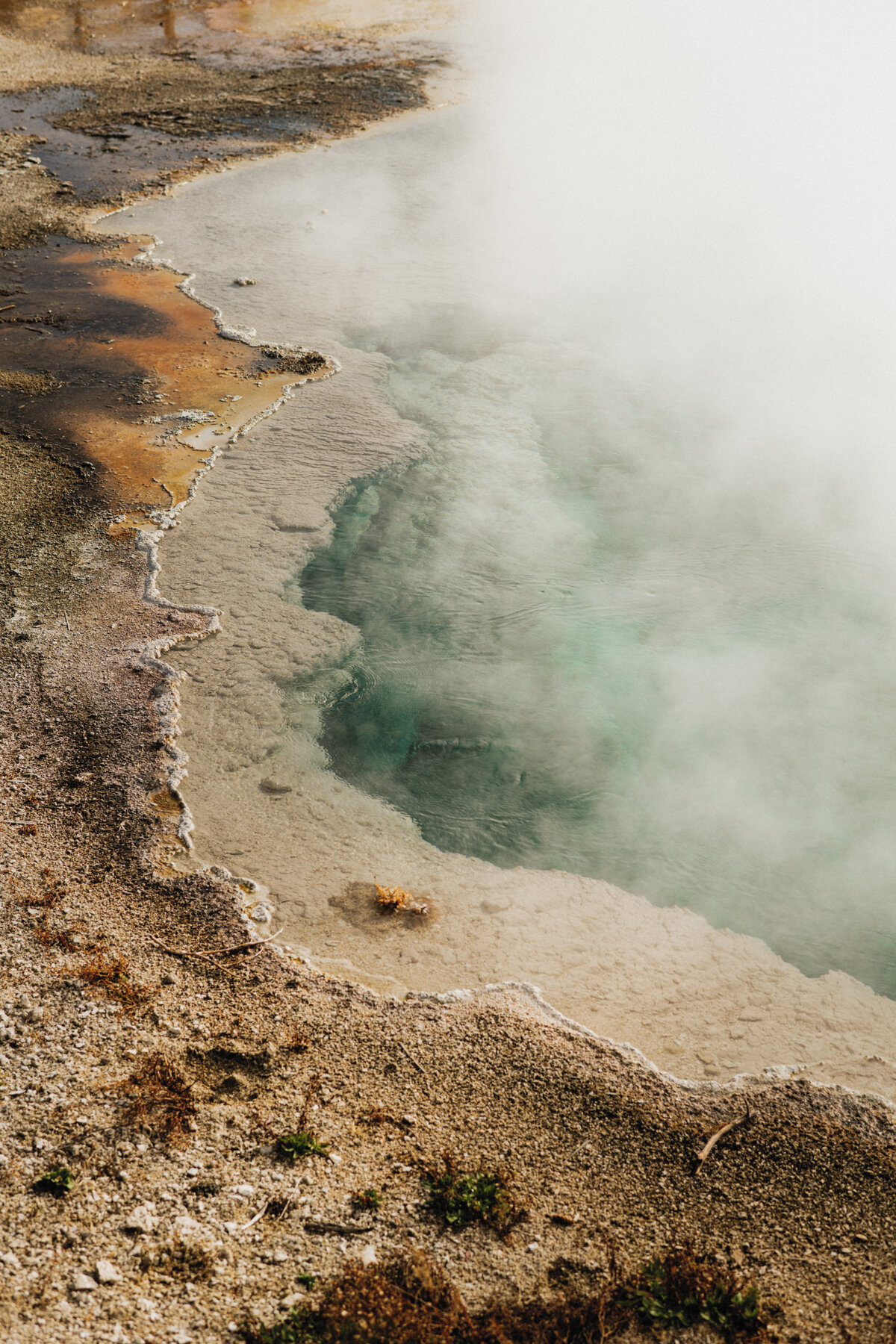 National-Parks-Coffee-Jess-Rankin-Photographer-15