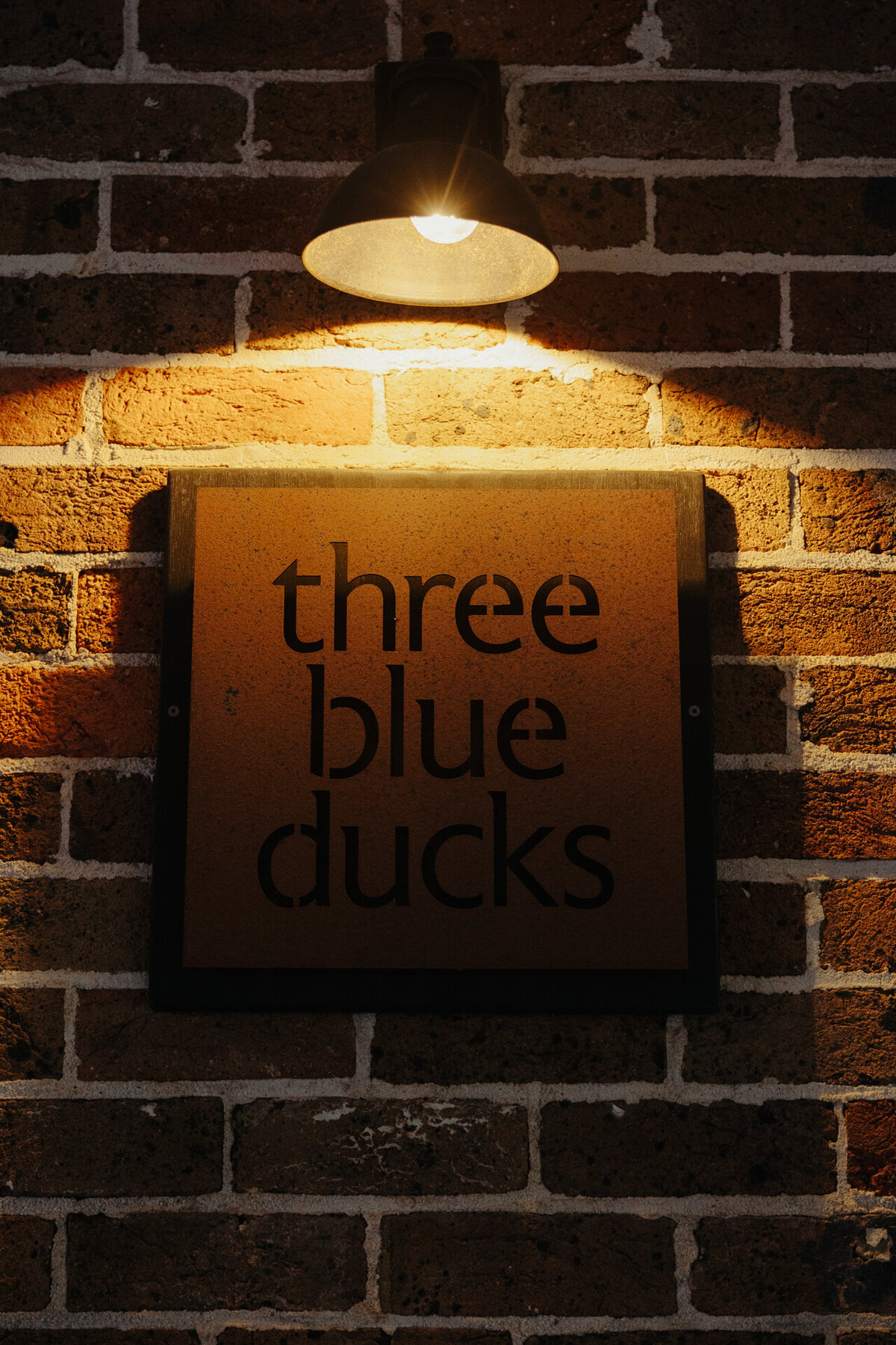 Toni&Ben-JBCreative-556